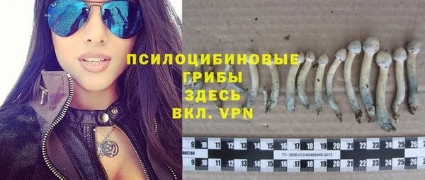 ешки Соликамск
