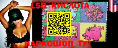 a pvp Заводоуковск
