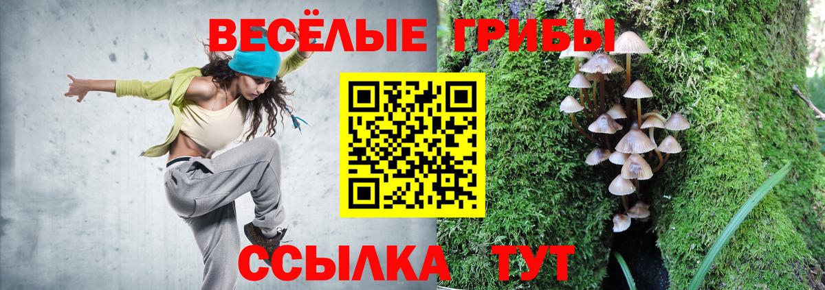 Псилоцибиновые грибы мицелий  Шадринск  Галлюциногенные грибы GOLDEN TEACHER 