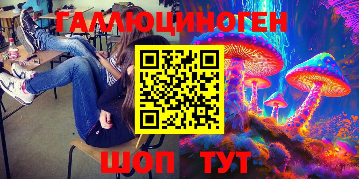 Псилоцибиновые грибы Cubensis Шадринск