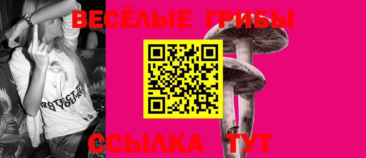 Шадринск  Галлюциногенные грибы мицелий  Вход с VPN 