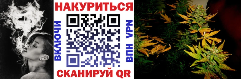 где продают   Шадринск  Канабис ГИДРОПОН 
